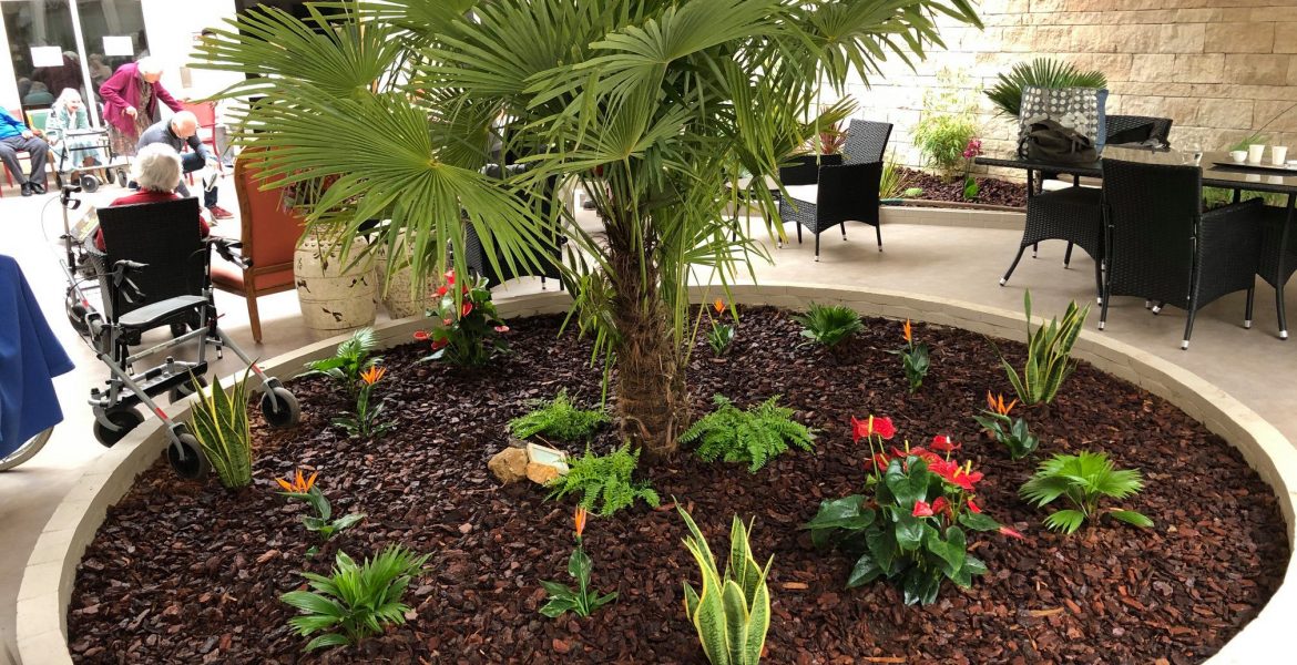 Un massif de fleur avec un palmier au centre dans une terrasse d'un EPHAD. Les fleurs sont colorées et le massif est recouvert de paillage bois.