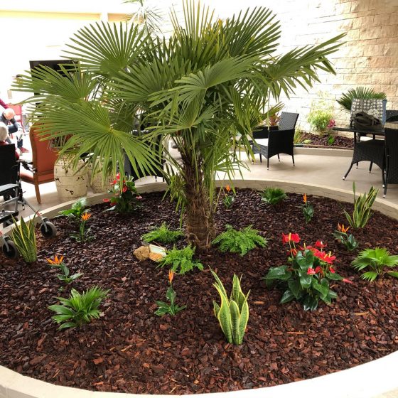 Un massif de fleur avec un palmier au centre dans une terrasse d'un EPHAD. Les fleurs sont colorées et le massif est recouvert de paillage bois.