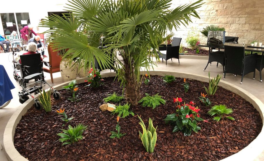 Un massif de fleur avec un palmier au centre dans une terrasse d'un EPHAD. Les fleurs sont colorées et le massif est recouvert de paillage bois.