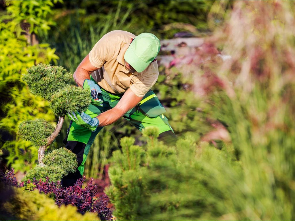 Un employé de la société Langlet qui prend soin d'un arbuste dans le cadre de l'entretien annuel d'un jardin de particuliers dans l'Oise. Il porte une casquette verte, un polo beige et un pantalon vert et jaune et tient un sécateur dans les mains. Le jardin est coloré et bien arboré