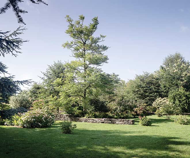 Un jardin avec des grands arbres et des arbustes et une belle pelouse. On retrouve aussi un muret en pierre. Le jardin est entretenu par les équipes Langlet paysage.
