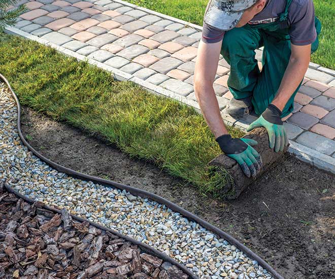 Un employé de la société Langlet en train de poser du gazon en rouleau près d'une allée en pavé dans un jardin de particulier dans l'Oise. C'est un aménagement paysager.