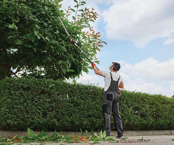 Un employé de la société Langlet avec un taille haie télescopique en train de couper des petites branches d'un arbre en hauteur. Entretien d'un jardin dans l'Oise